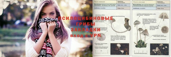 гидропоника Новодвинск