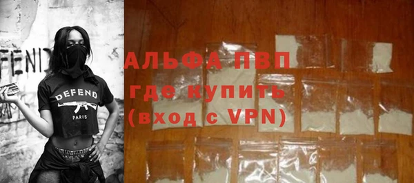 сатива Новозыбков
