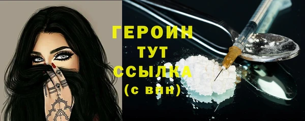 сатива Новозыбков