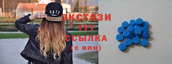 сатива Новозыбков