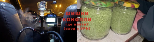 сатива Новозыбков