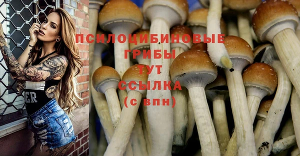 эйфоретик Бутурлиновка