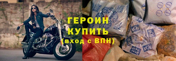 сатива Новозыбков
