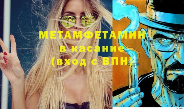 сатива Новозыбков