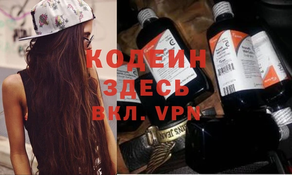 сатива Новозыбков