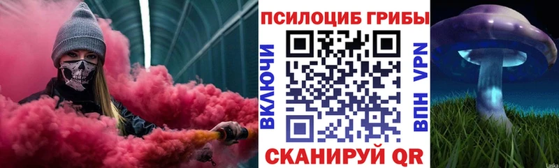 Галлюциногенные грибы Cubensis дарнет шоп Кинешма