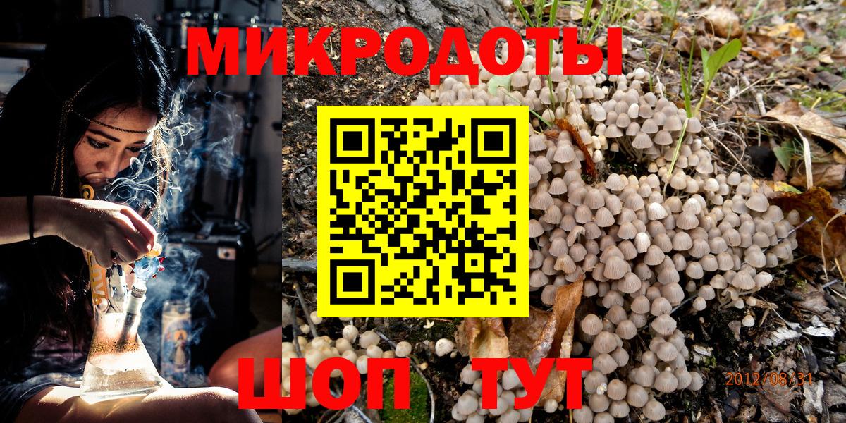 Псилоцибиновые грибы Psilocybine cubensis  Псилоцибиновые грибы ЛСД  Кинешма 