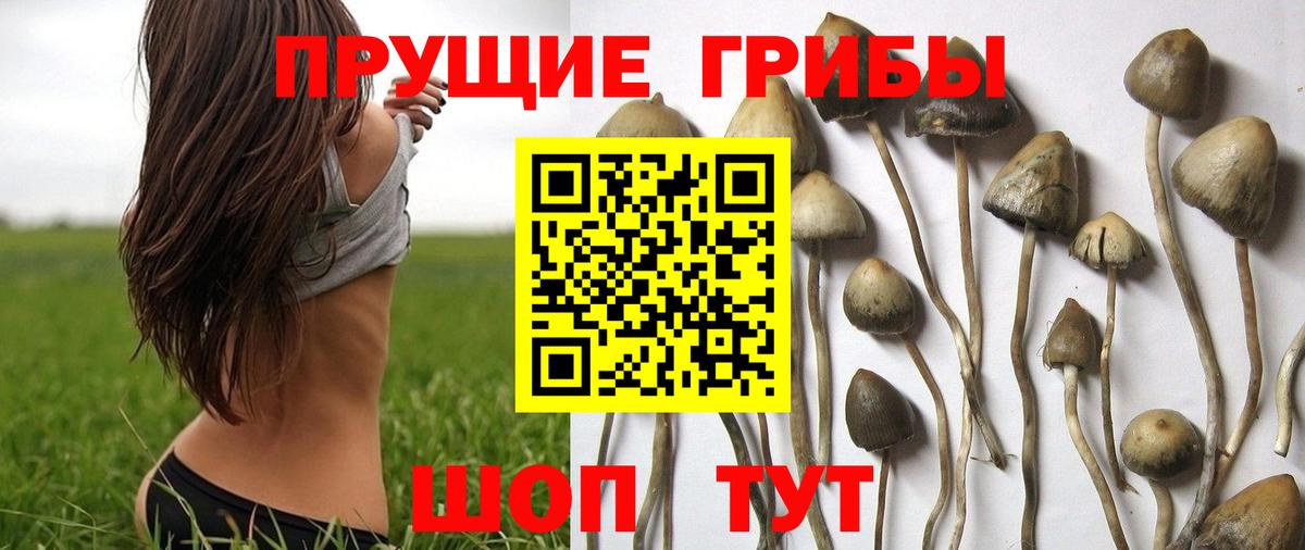 МДМА  Метамфетамин  Меф МЯУ МЯУ   Бошки Шишки  Амфетамин кристаллы  Кинешма  Кодеин  Конопля  COCAIN  Гашиш 