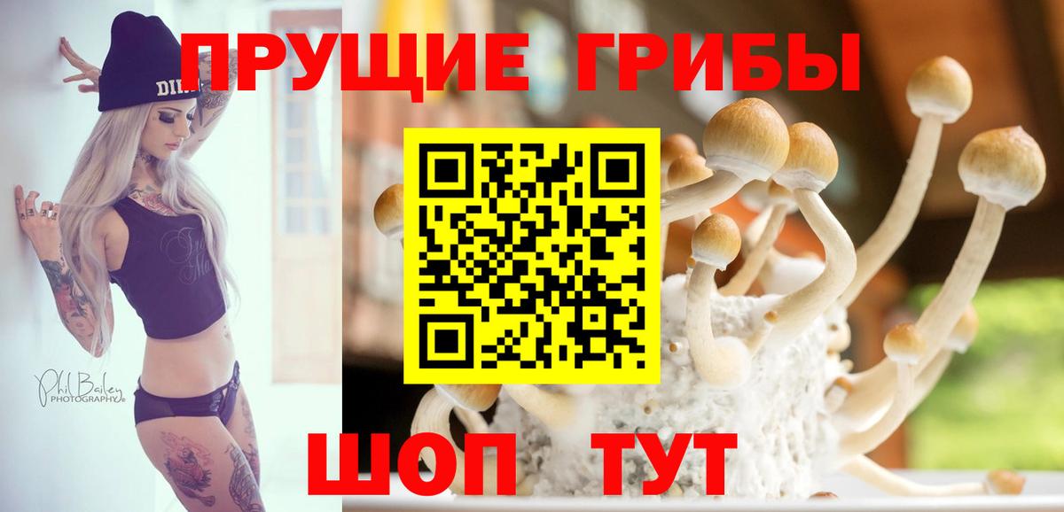 Псилоцибиновые грибы Magic Shrooms Кинешма