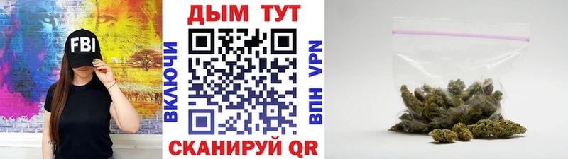Канабис индика  наркошоп  Кинешма 