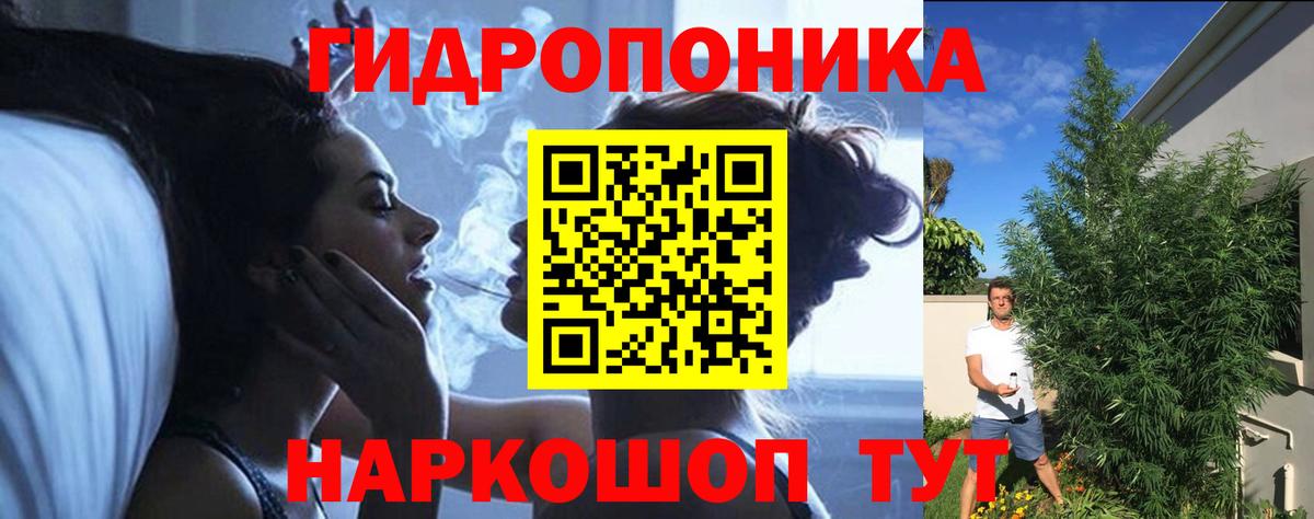 Канабис план  Конопля LSD WEED  Кинешма  Бошки марихуана LSD WEED 